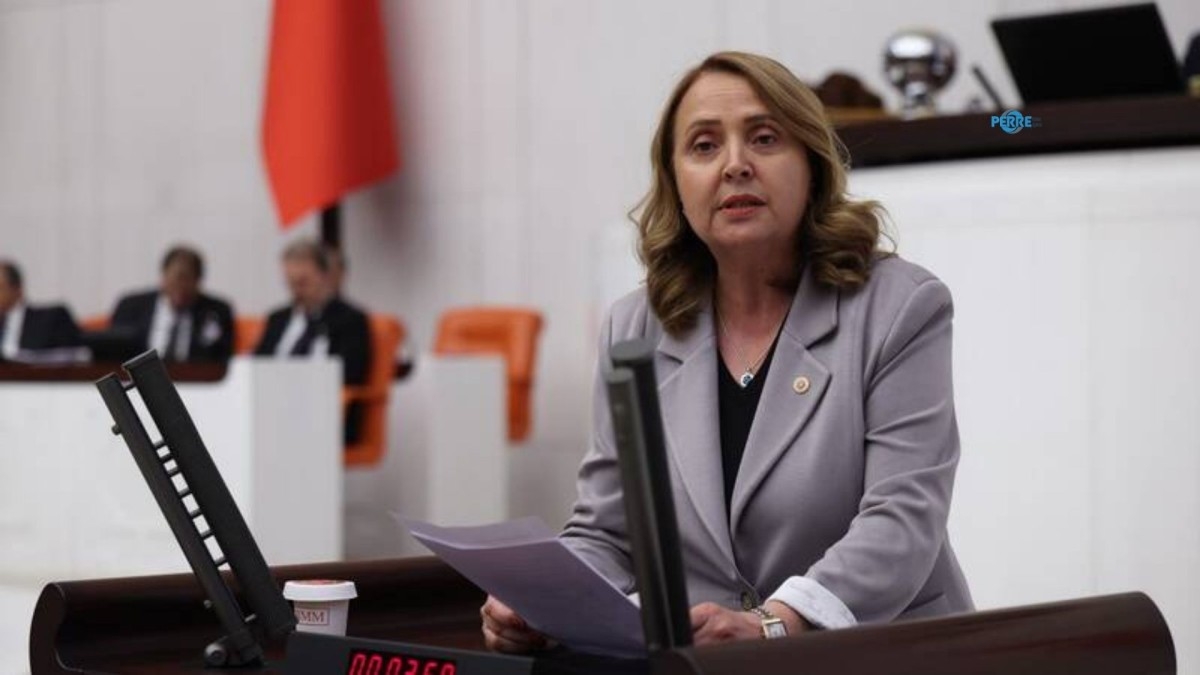 Semra Dinçer: ‘Yüz binlerce otizmli çocuk eğitim sisteminin dışında bırakılıyor’